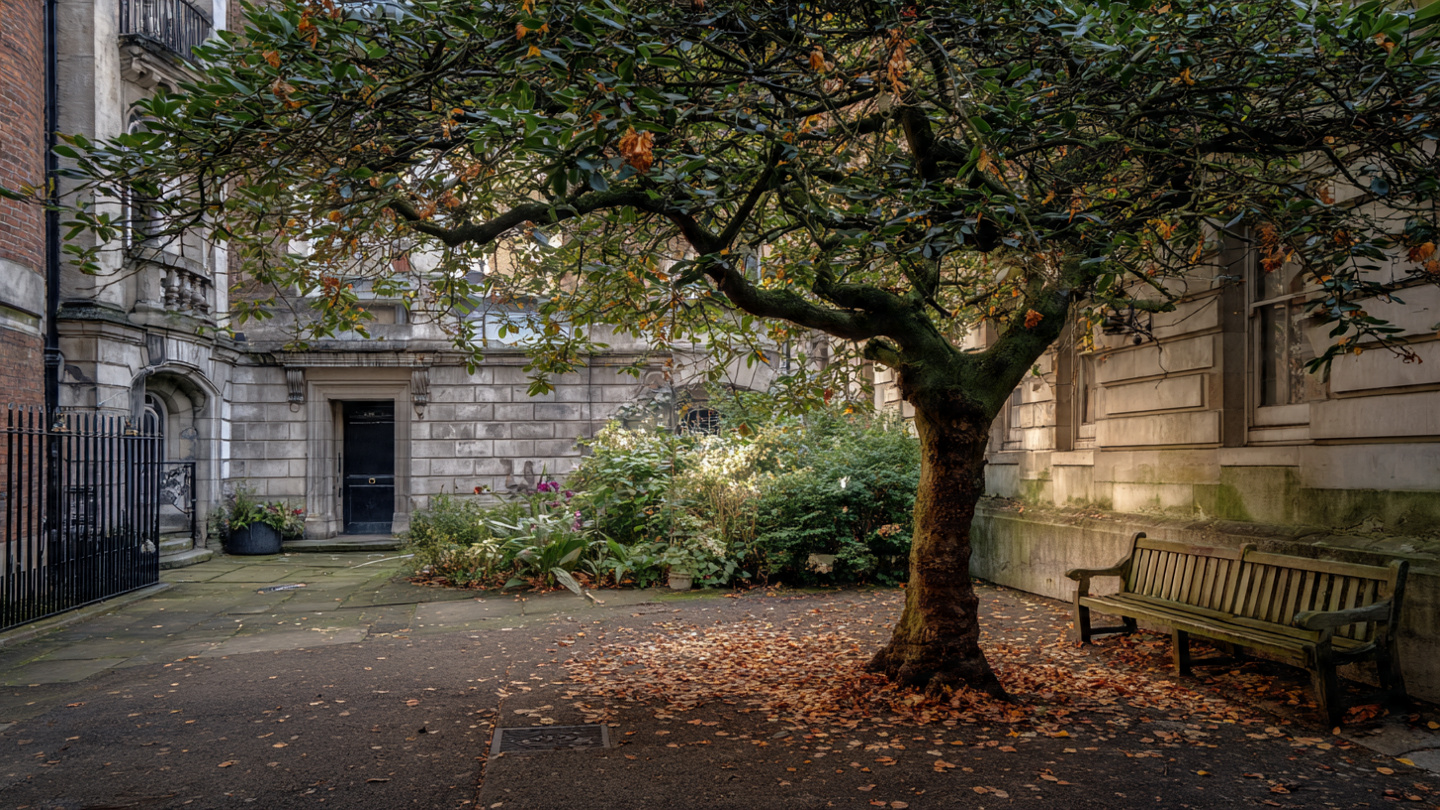 Quiet historic courtyard with an old tree and wooden bench, capturing one of the most atmospheric secret places in London where hidden urban spaces offer calm reflection and peaceful city retreats.
