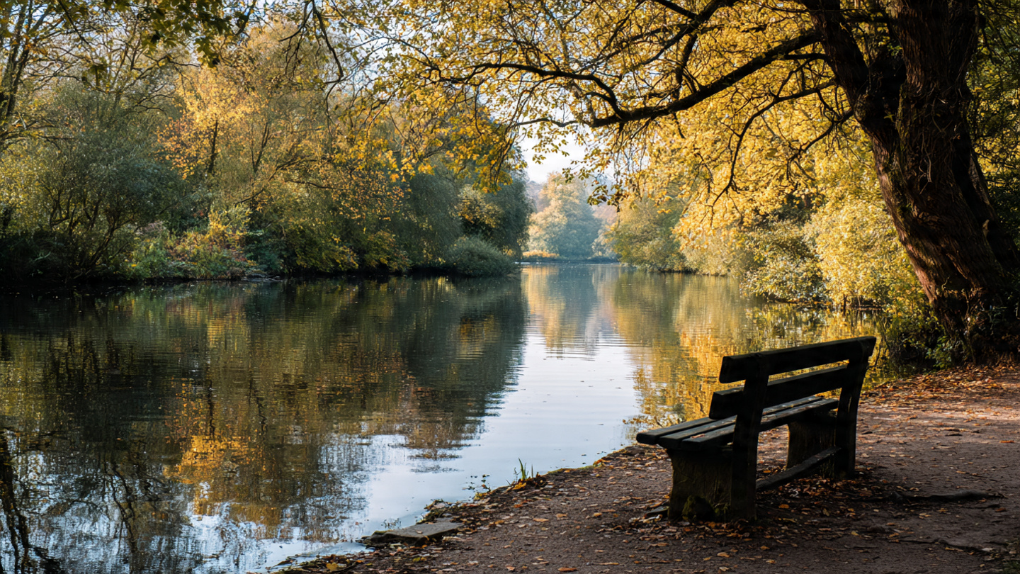 Things to do in London in autumn, peaceful riverside park scene with golden fall trees and empty bench, highlighting calm autumn walks and scenic seasonal experiences in London