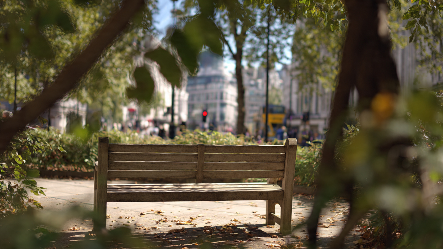 peaceful walking routes in london with a quiet park bench under leafy trees and soft city background beyond the greenery