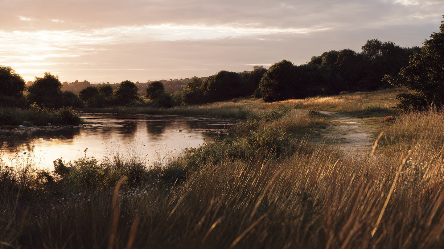 London nature walks beside a peaceful wetland pond at golden hour with tall grasses and tree-lined horizon